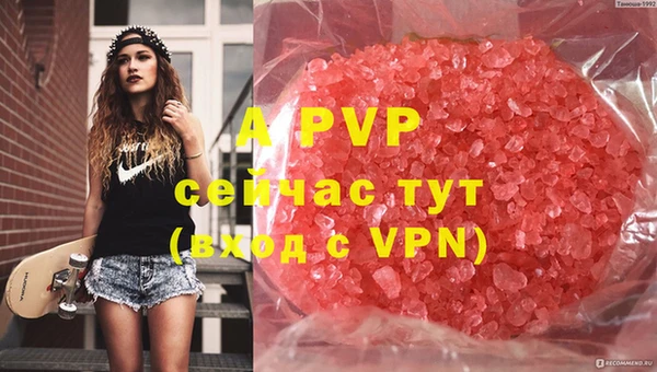 ALPHA PVP Осинники