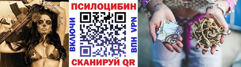 Галлюциногенные грибы Psilocybe  Купить где  Заполярный 